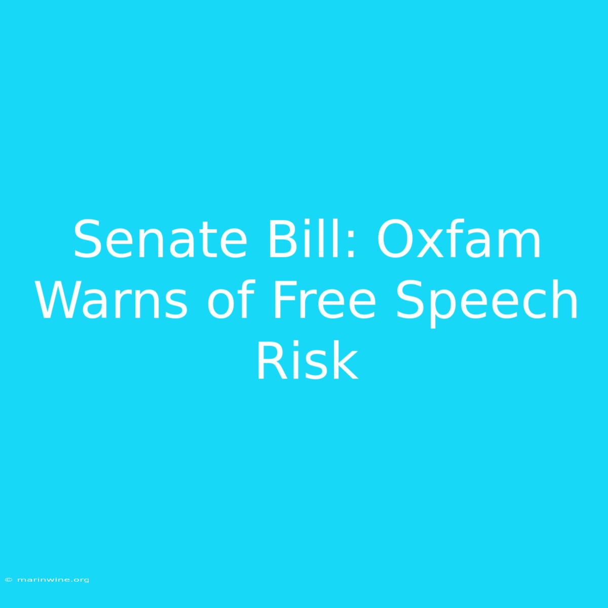 Senate Bill: Oxfam Warns Of Free Speech Risk