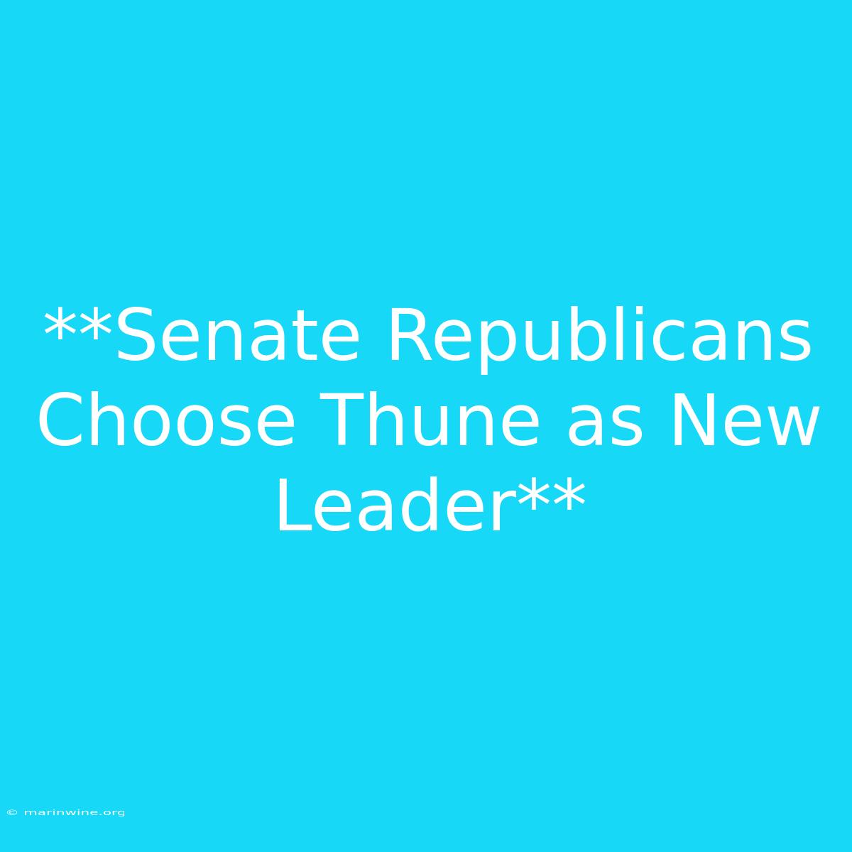 **Senate Republicans Choose Thune As New Leader** 