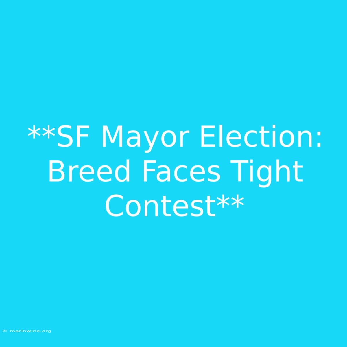 **SF Mayor Election: Breed Faces Tight Contest** 