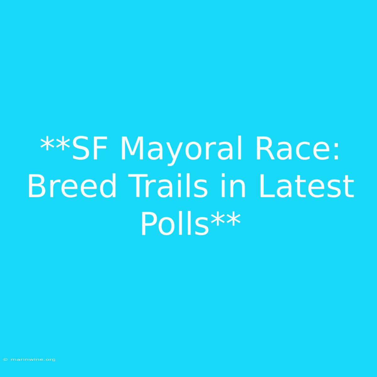 **SF Mayoral Race: Breed Trails In Latest Polls**