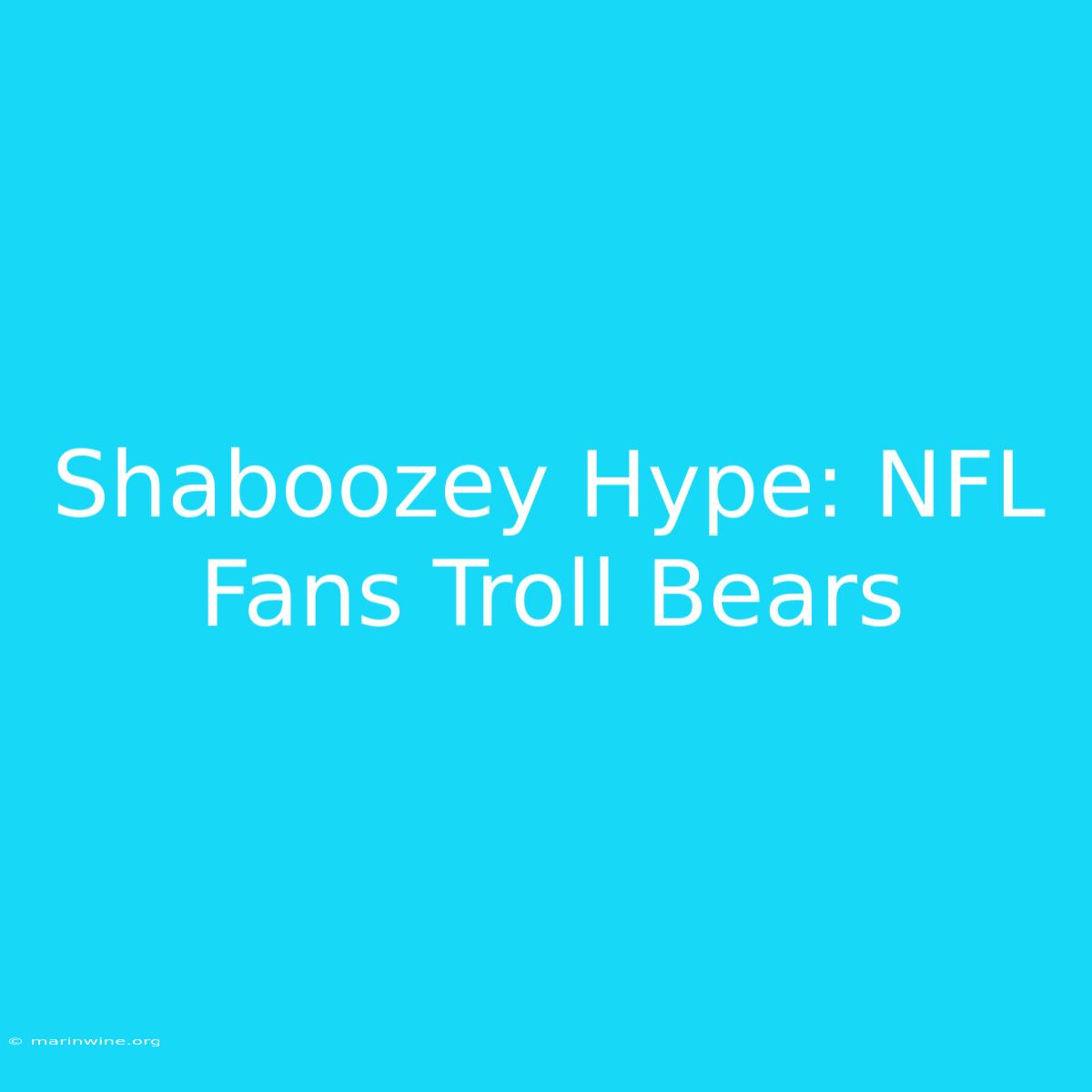 Shaboozey Hype: NFL Fans Troll Bears