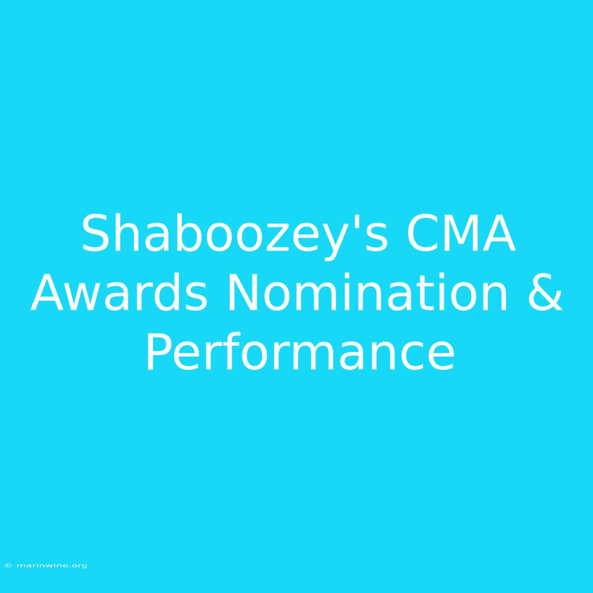 Shaboozey's CMA Awards Nomination & Performance