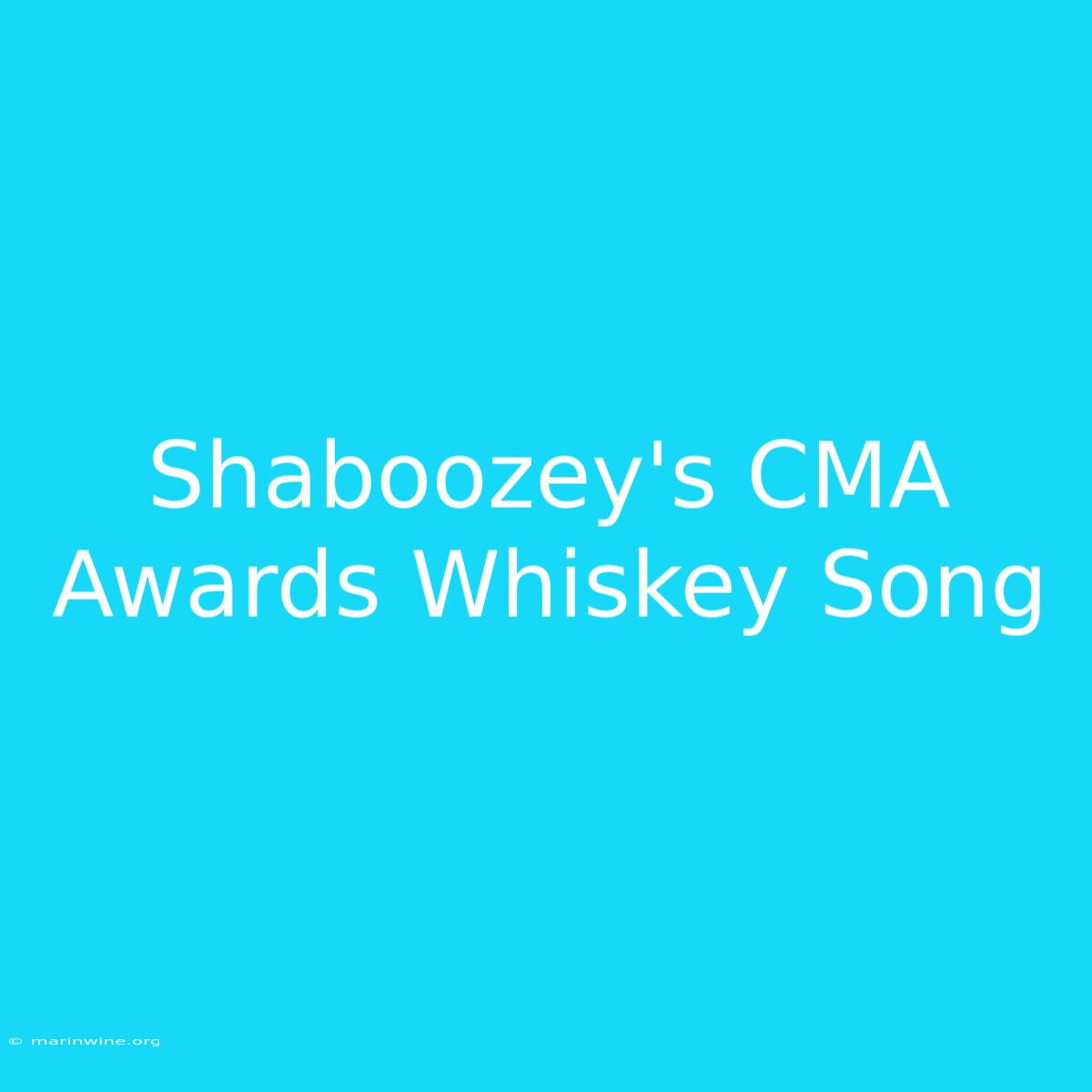 Shaboozey's CMA Awards Whiskey Song