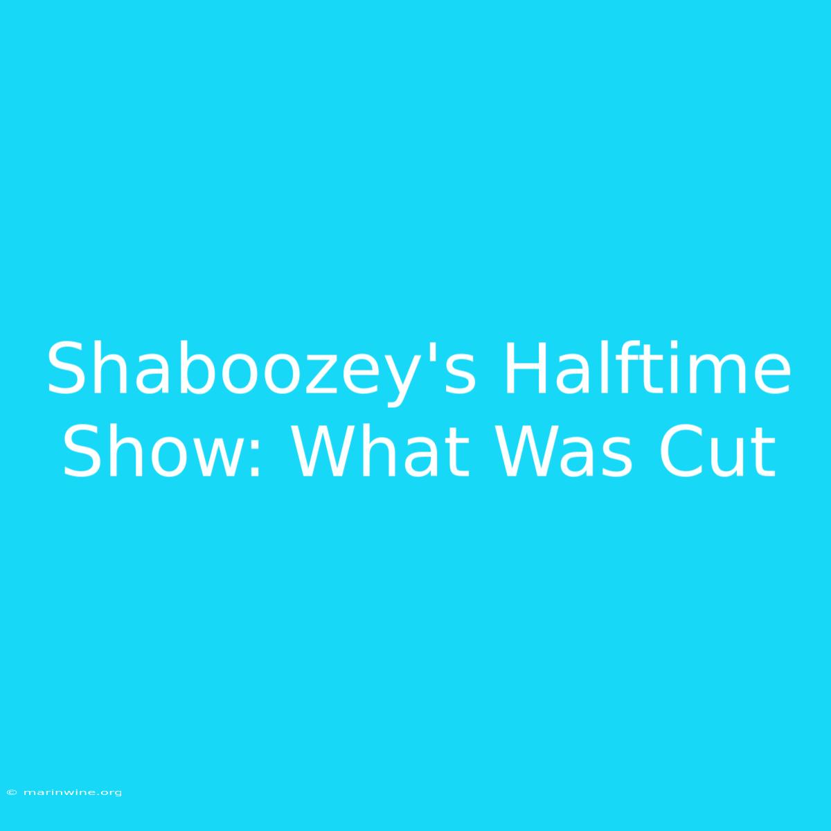 Shaboozey's Halftime Show: What Was Cut