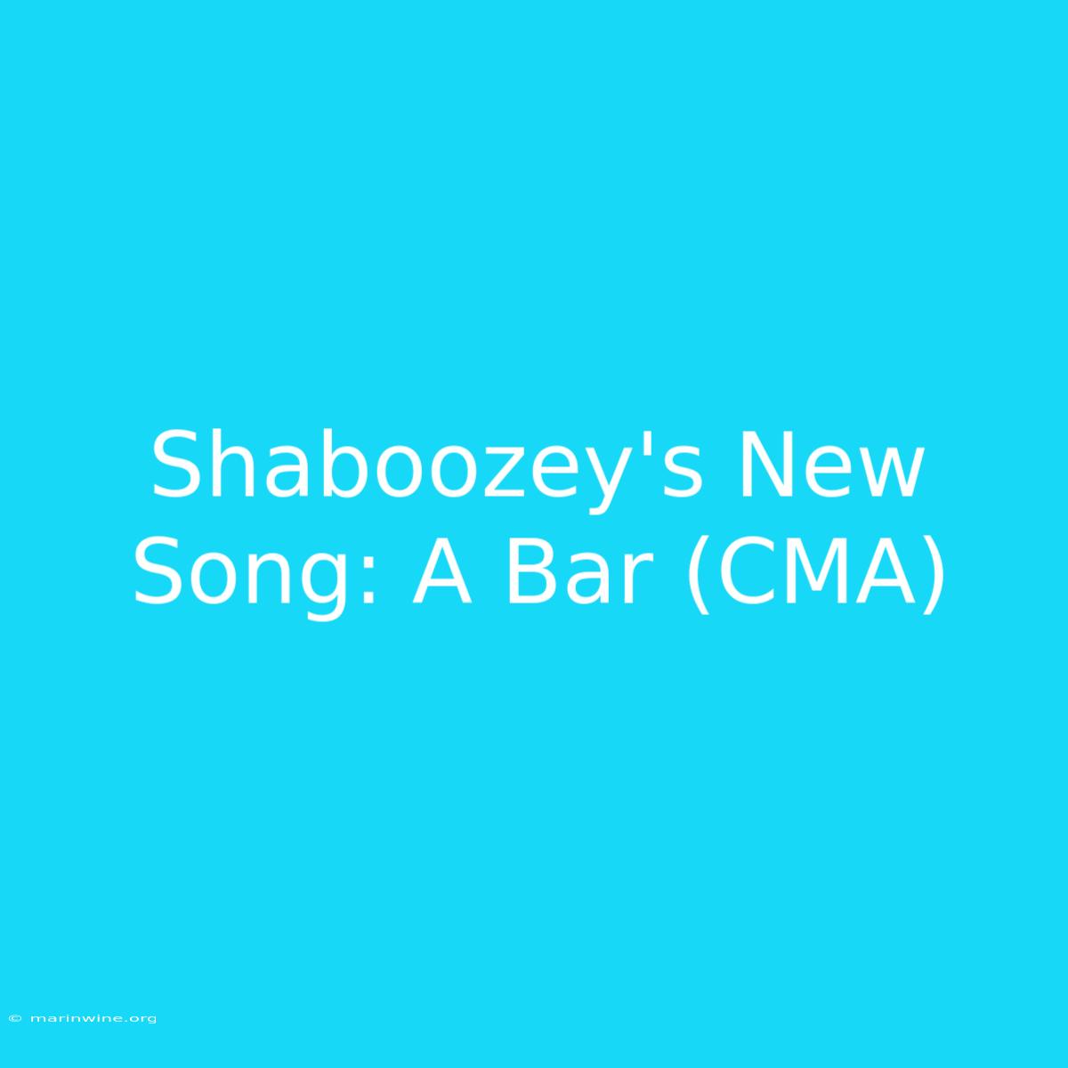 Shaboozey's New Song: A Bar (CMA)