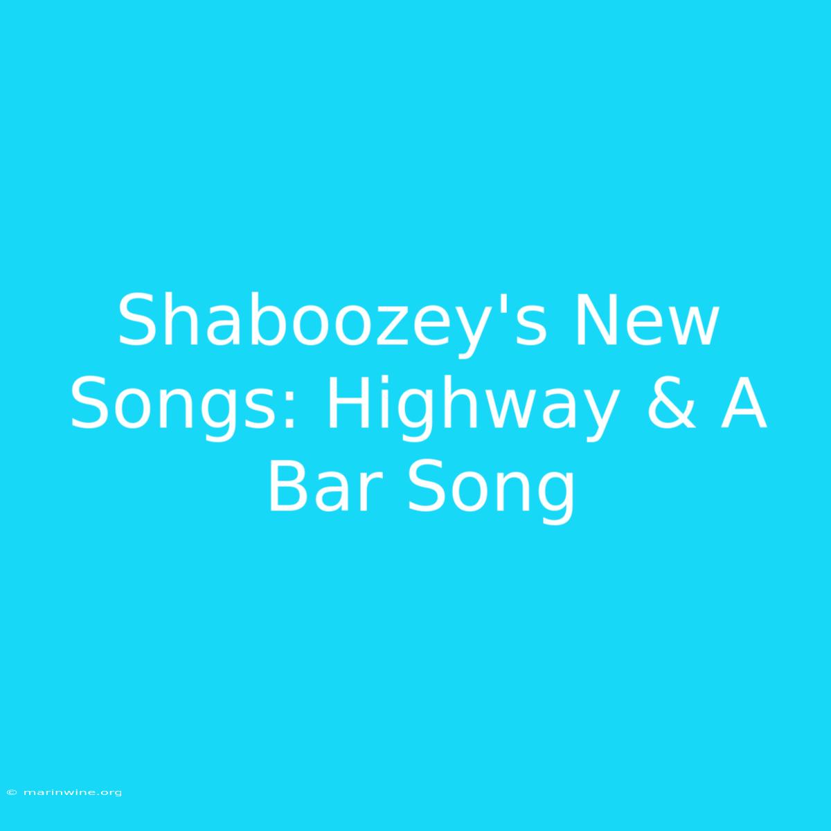 Shaboozey's New Songs: Highway & A Bar Song