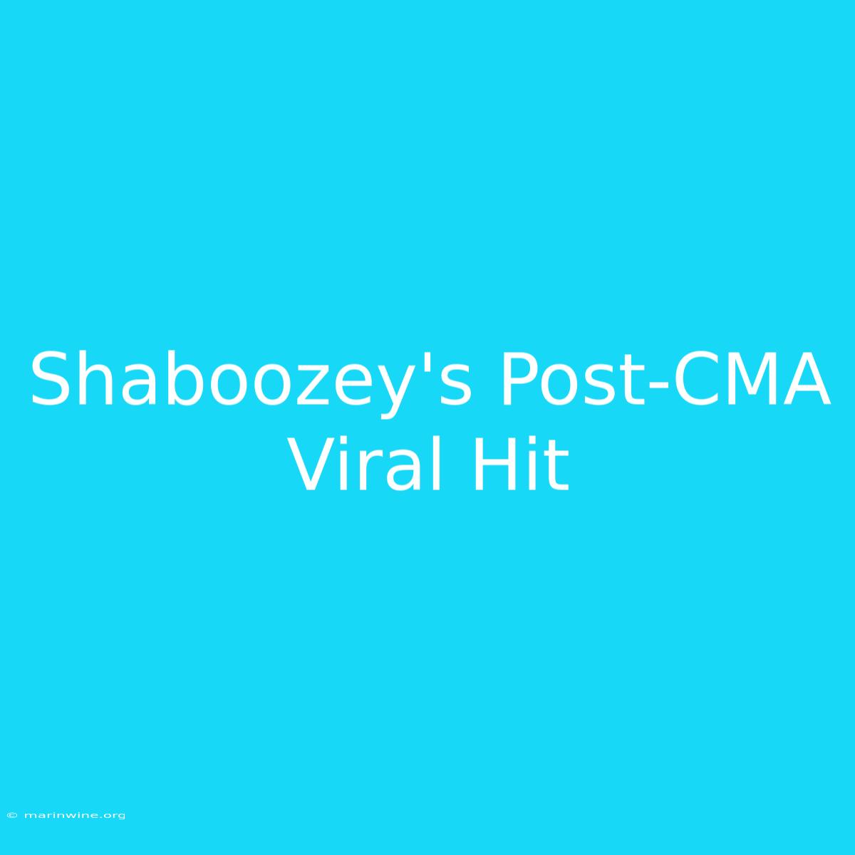 Shaboozey's Post-CMA Viral Hit