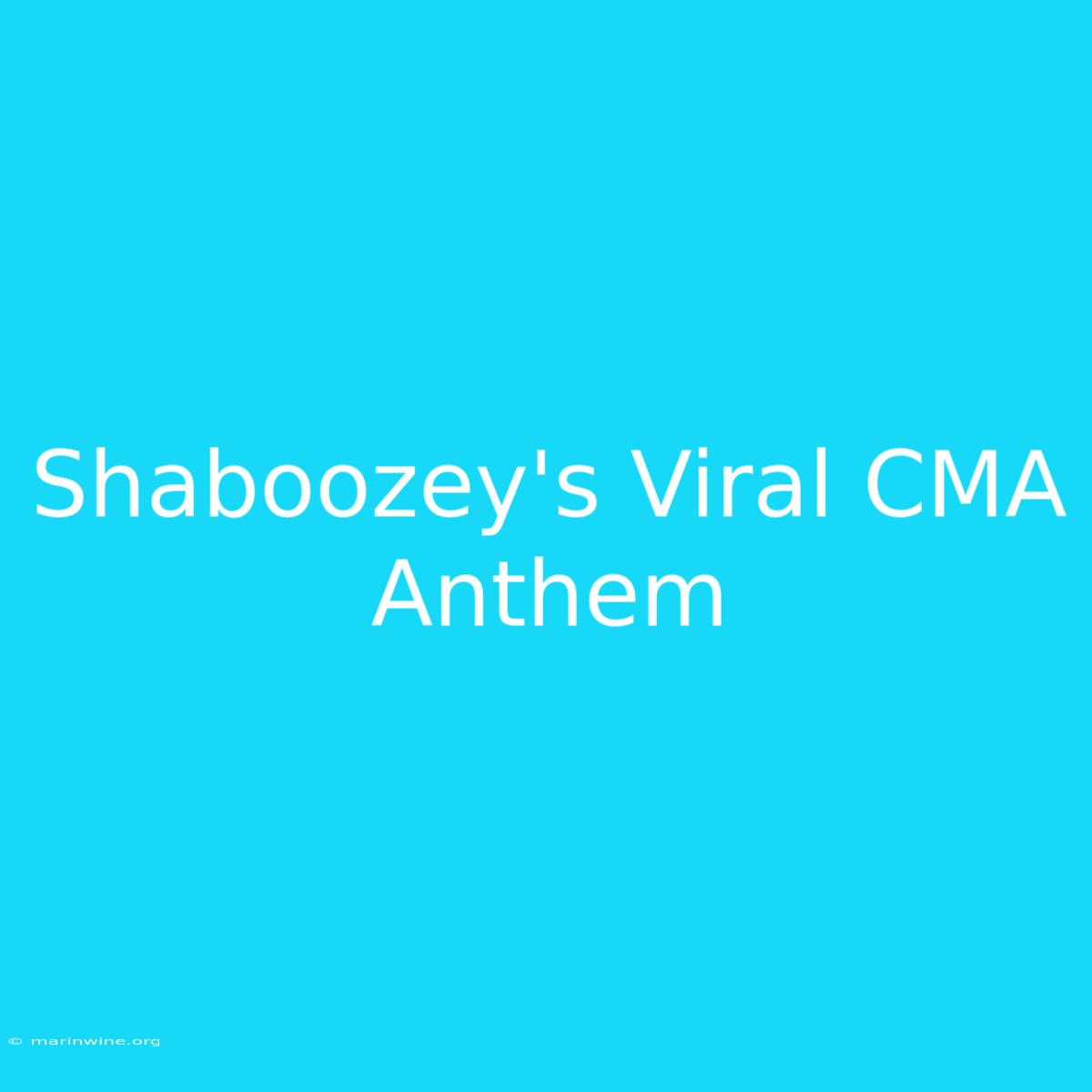 Shaboozey's Viral CMA Anthem