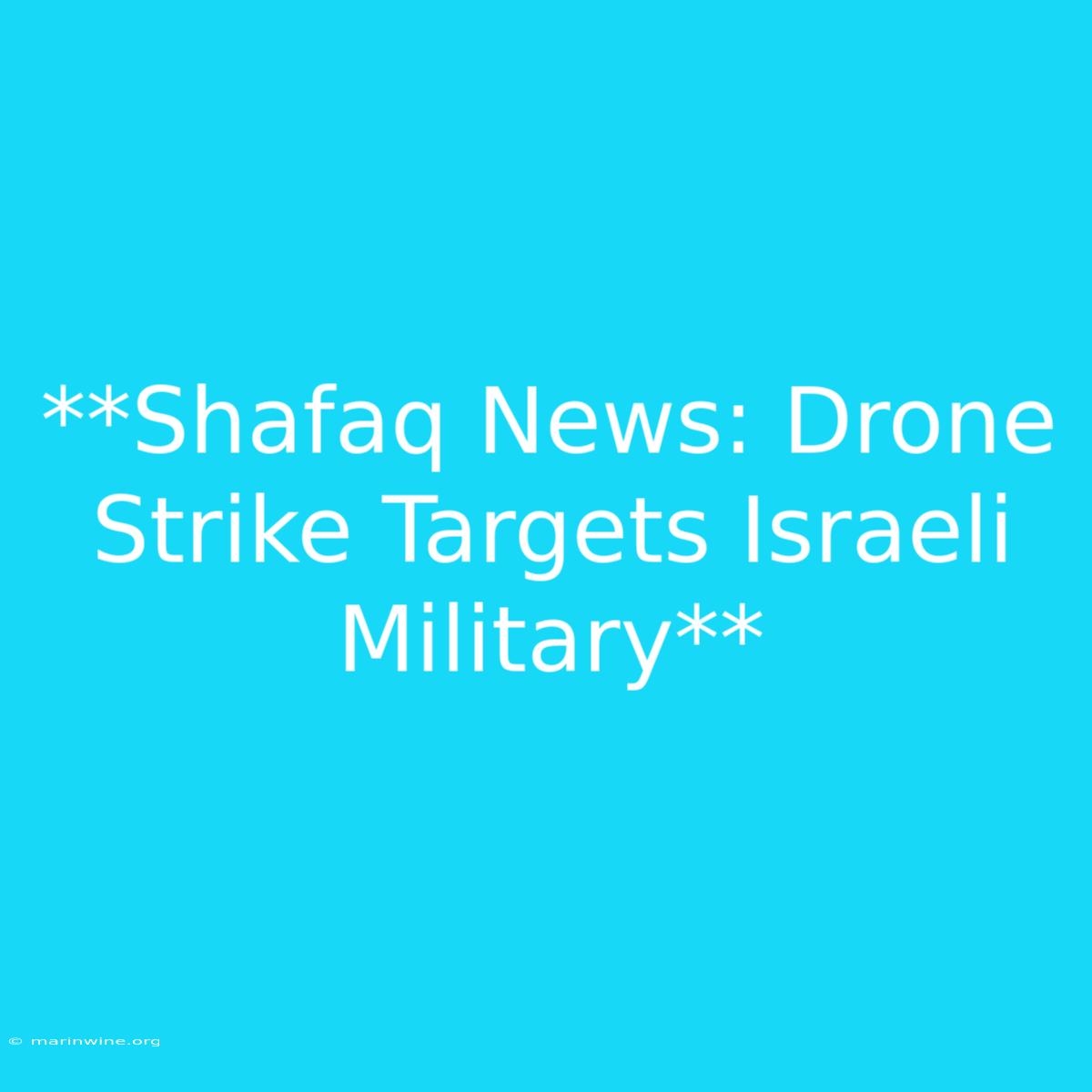 **Shafaq News: Drone Strike Targets Israeli Military**