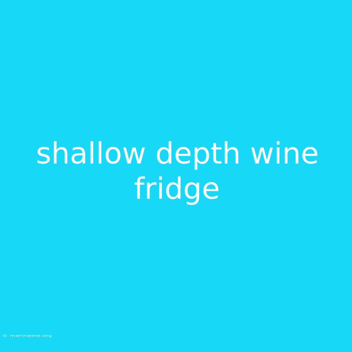 Shallow Depth Wine Fridge