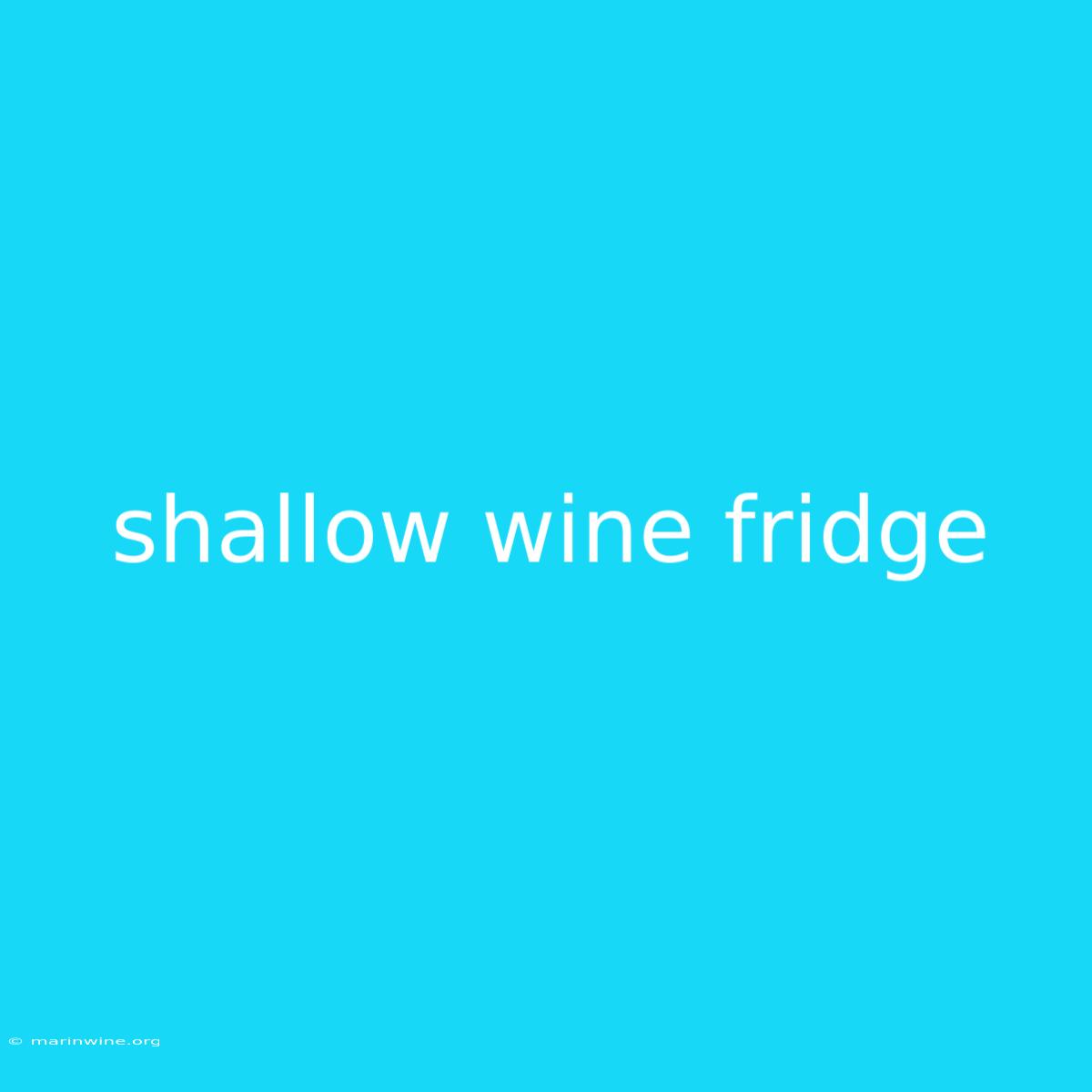 Shallow Wine Fridge