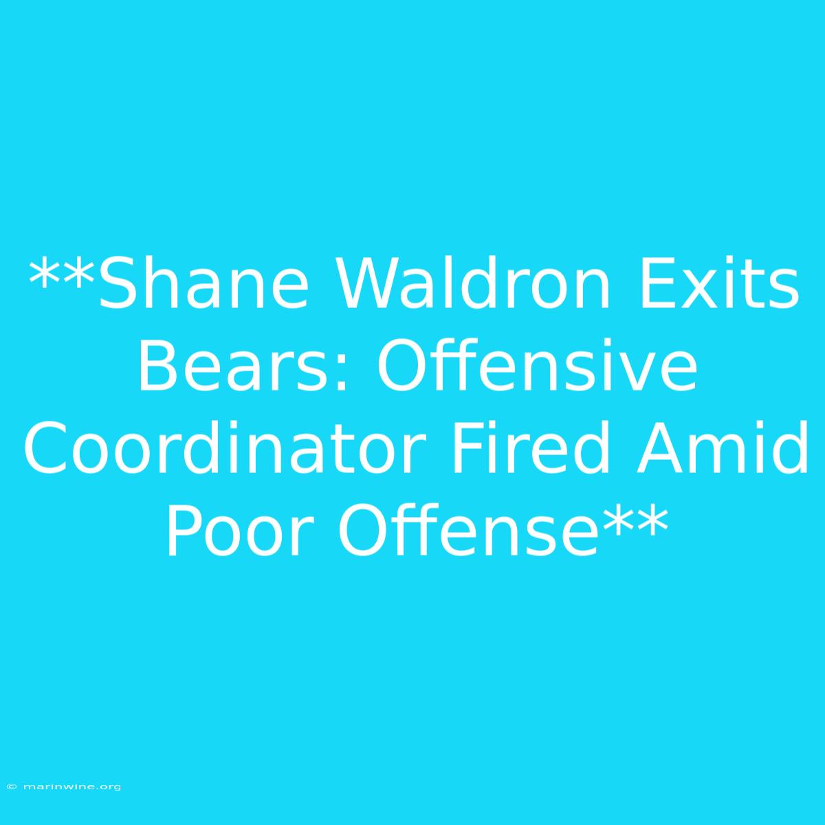 **Shane Waldron Exits Bears: Offensive Coordinator Fired Amid Poor Offense** 