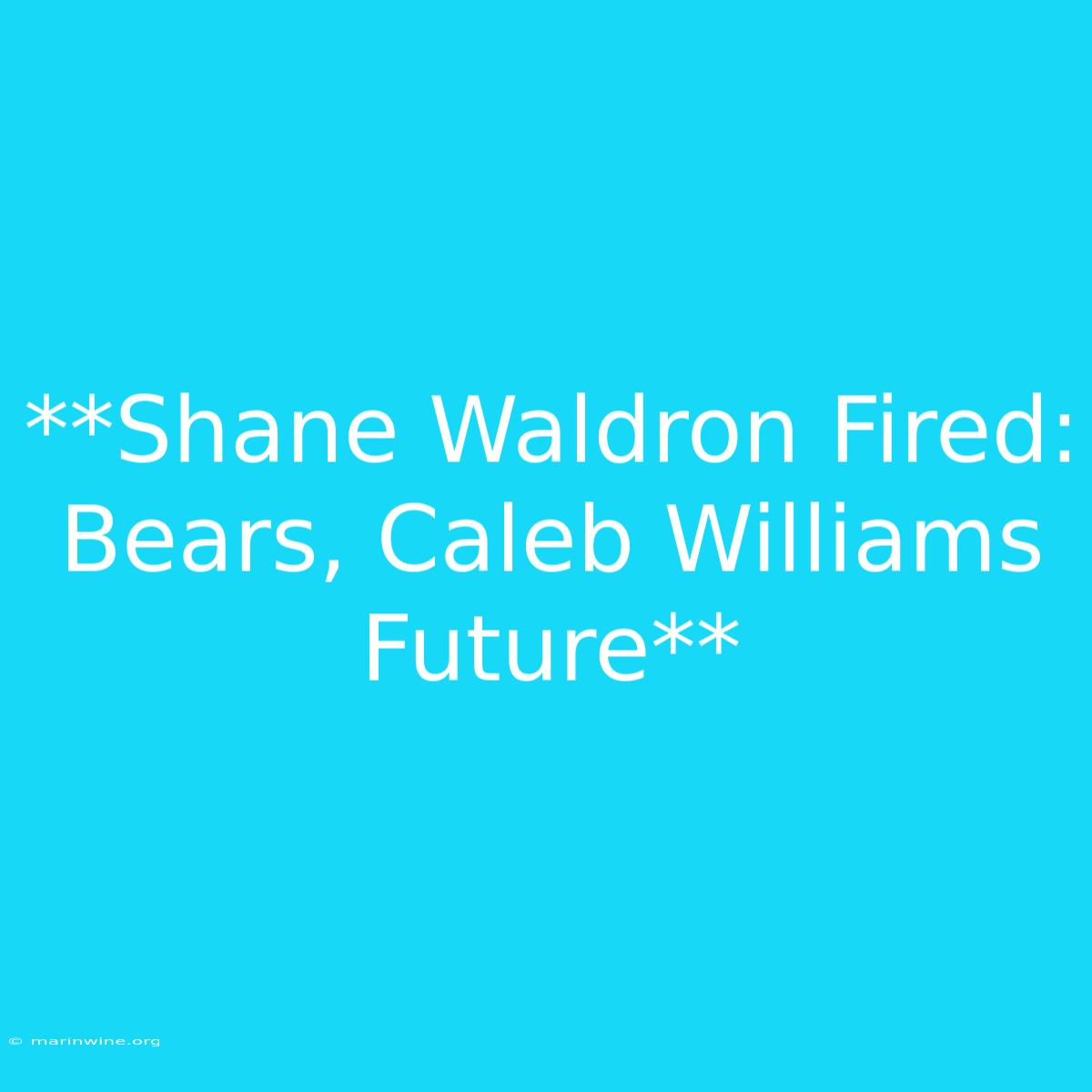 **Shane Waldron Fired: Bears, Caleb Williams Future**