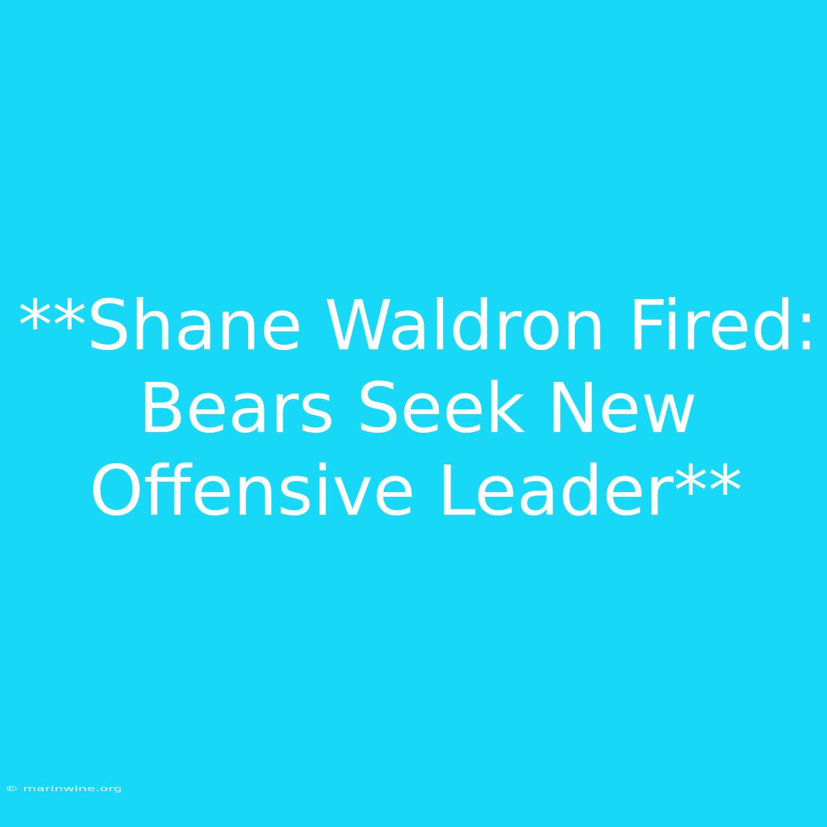 **Shane Waldron Fired: Bears Seek New Offensive Leader**