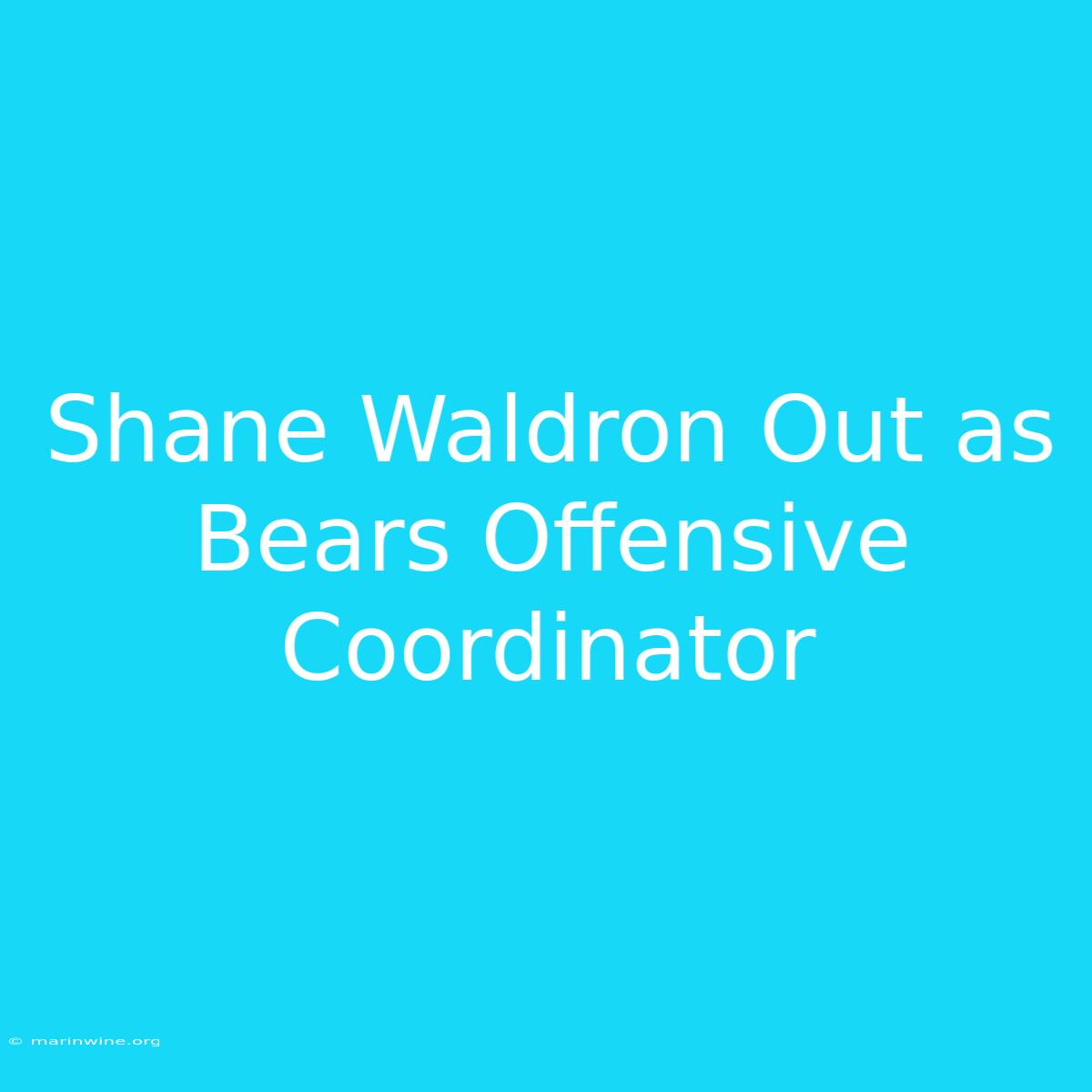 Shane Waldron Out As Bears Offensive Coordinator