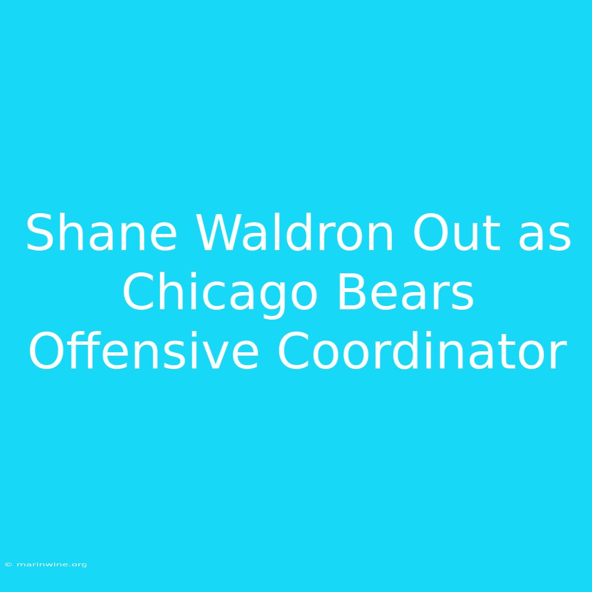 Shane Waldron Out As Chicago Bears Offensive Coordinator 