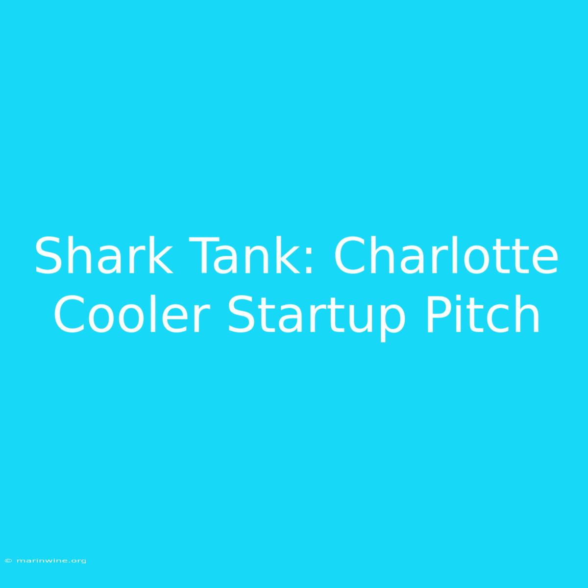 Shark Tank: Charlotte Cooler Startup Pitch