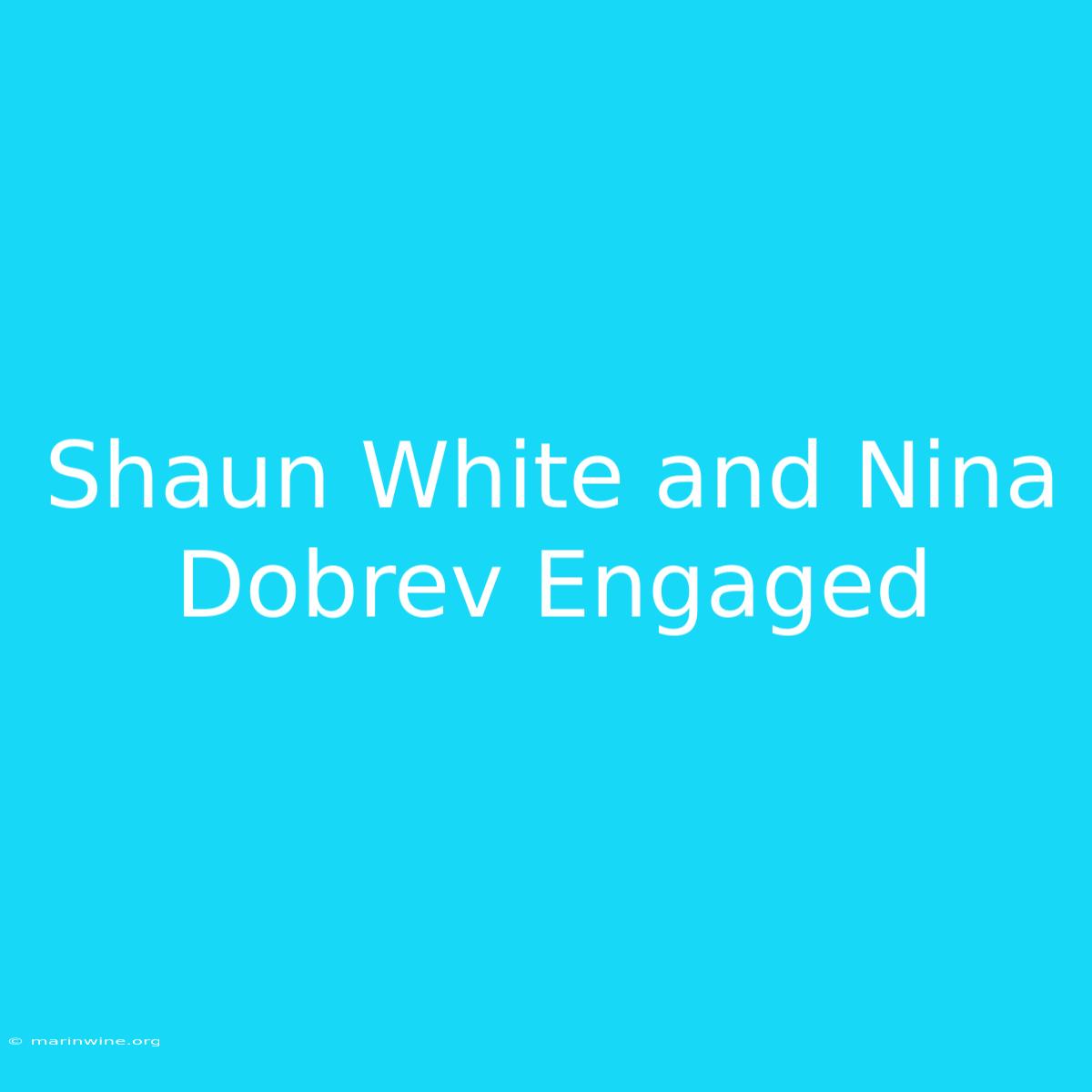 Shaun White And Nina Dobrev Engaged