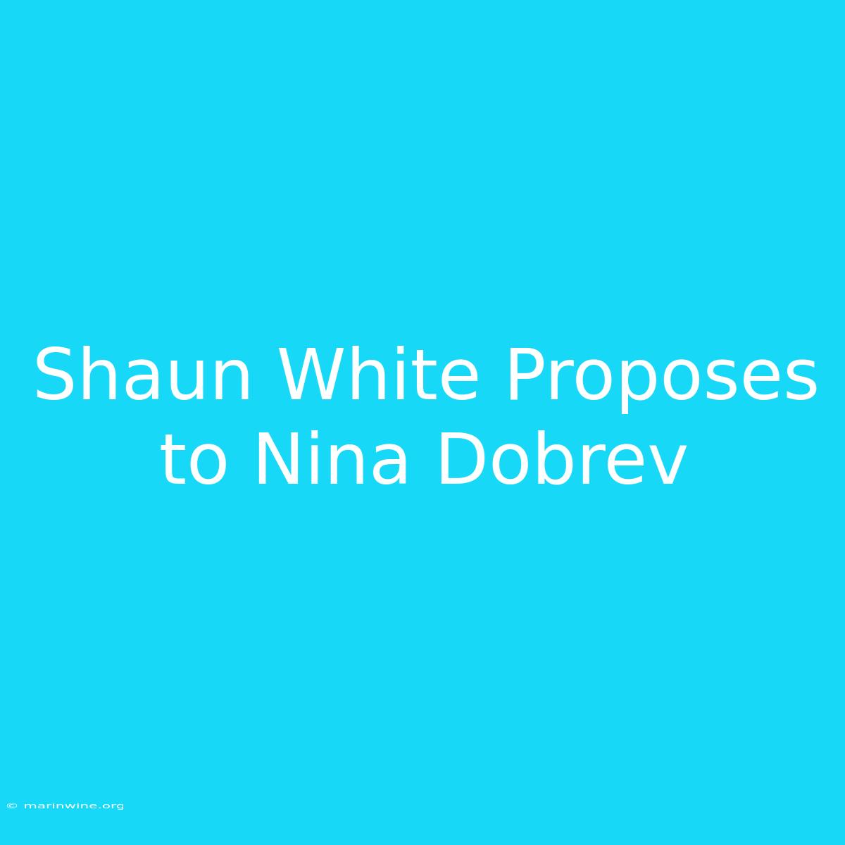 Shaun White Proposes To Nina Dobrev