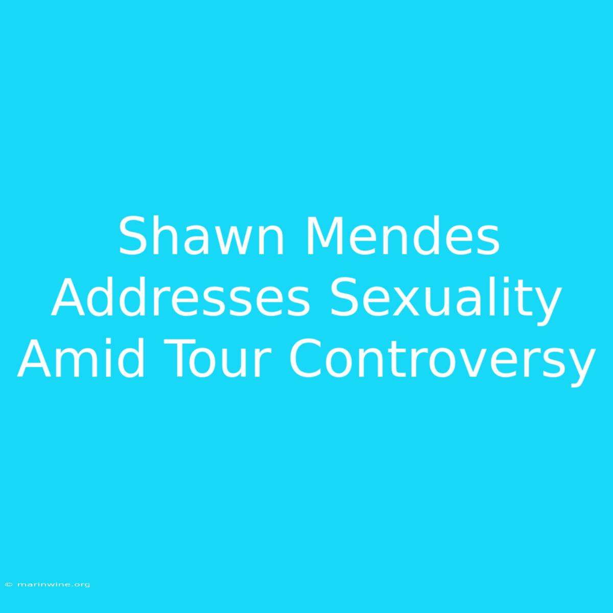 Shawn Mendes Addresses Sexuality Amid Tour Controversy