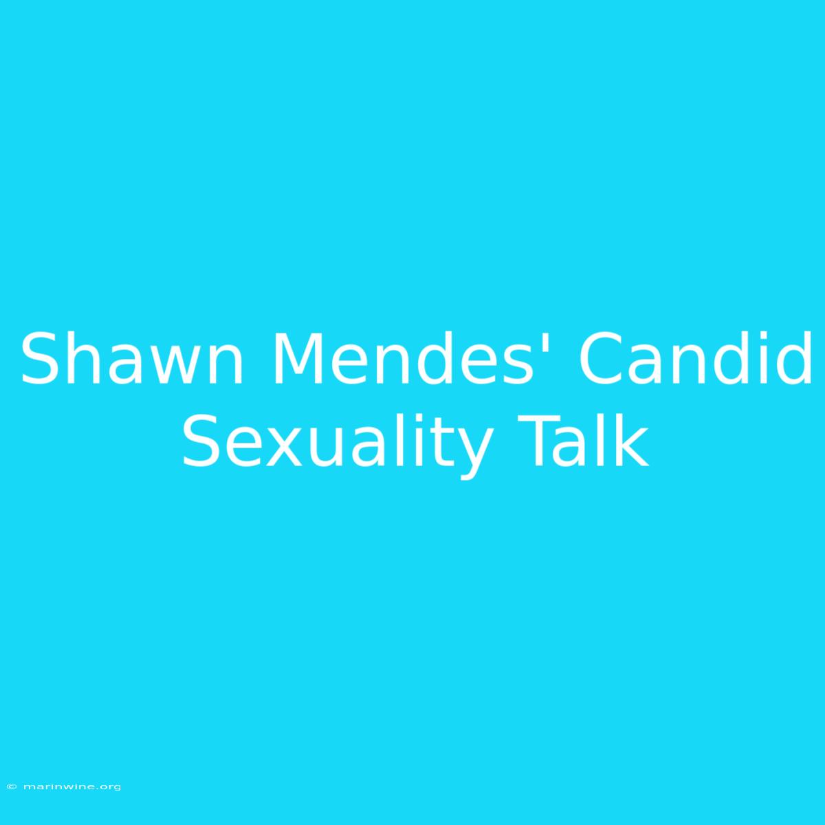 Shawn Mendes' Candid Sexuality Talk 