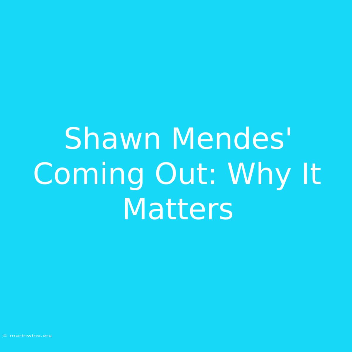 Shawn Mendes' Coming Out: Why It Matters