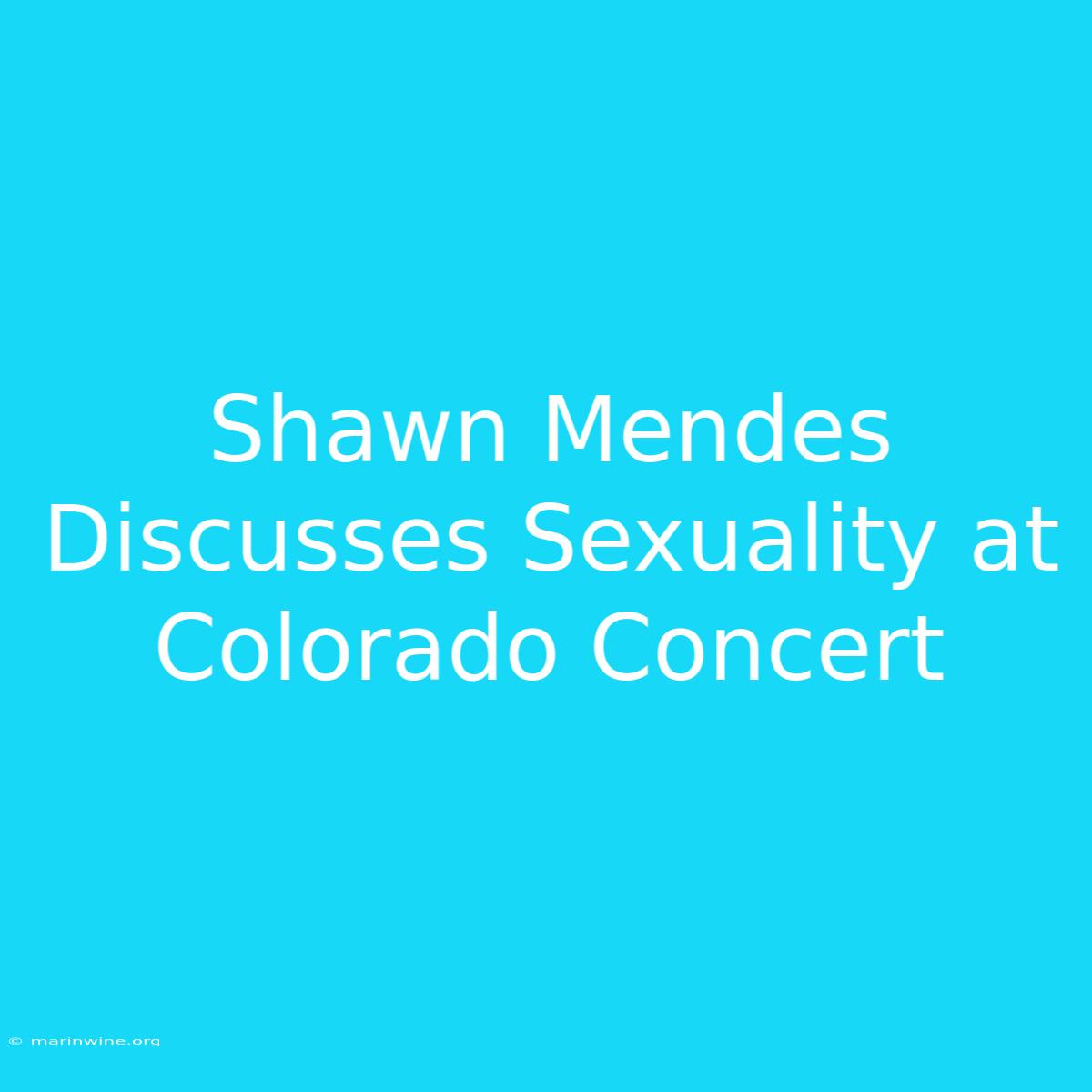 Shawn Mendes Discusses Sexuality At Colorado Concert