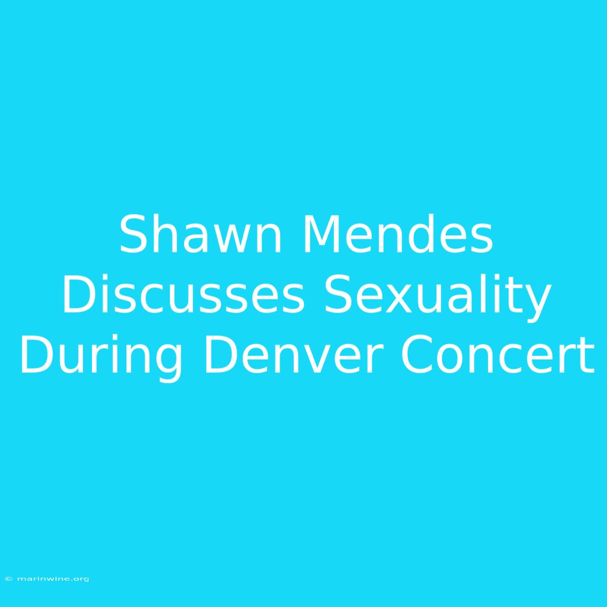 Shawn Mendes Discusses Sexuality During Denver Concert