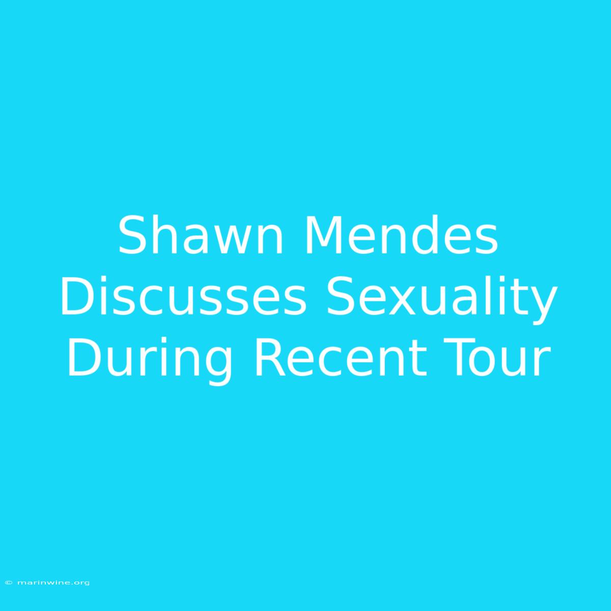 Shawn Mendes Discusses Sexuality During Recent Tour 