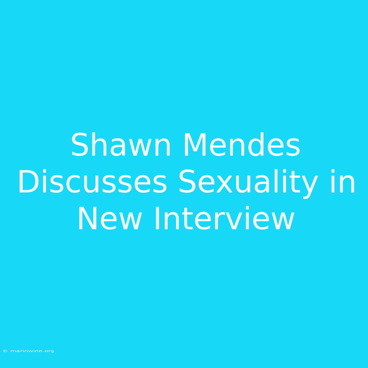 Shawn Mendes Discusses Sexuality In New Interview