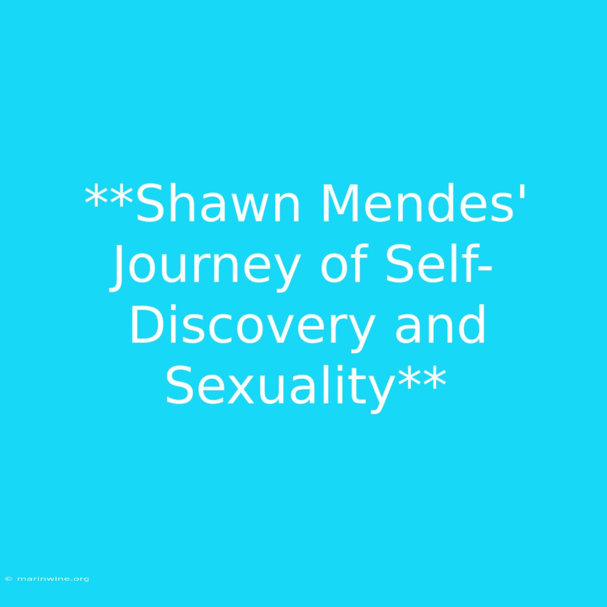 **Shawn Mendes' Journey Of Self-Discovery And Sexuality** 