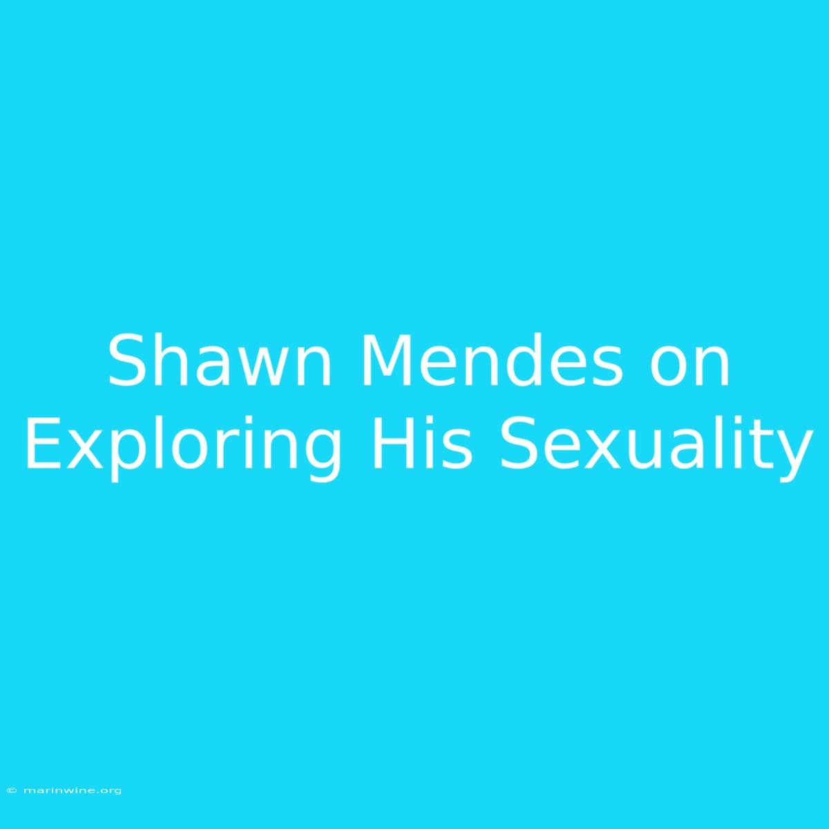 Shawn Mendes On Exploring His Sexuality