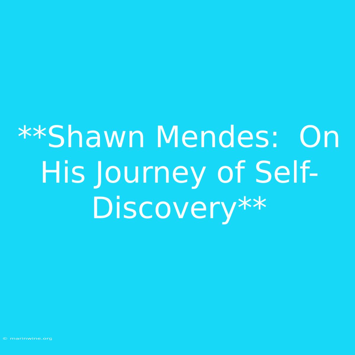 **Shawn Mendes:  On His Journey Of Self-Discovery** 