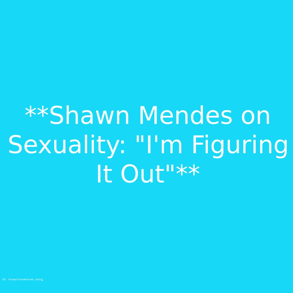 **Shawn Mendes On Sexuality: 