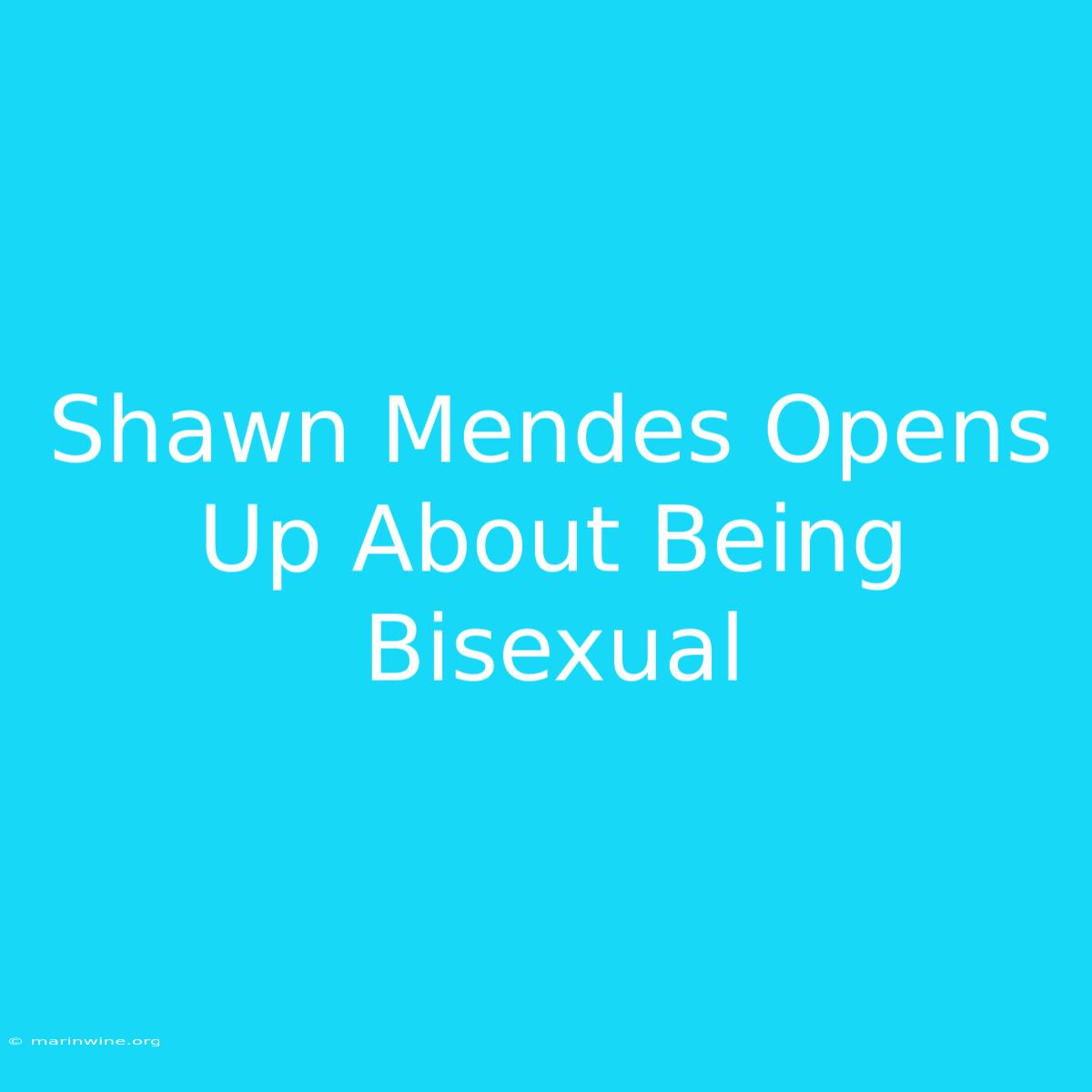 Shawn Mendes Opens Up About Being Bisexual