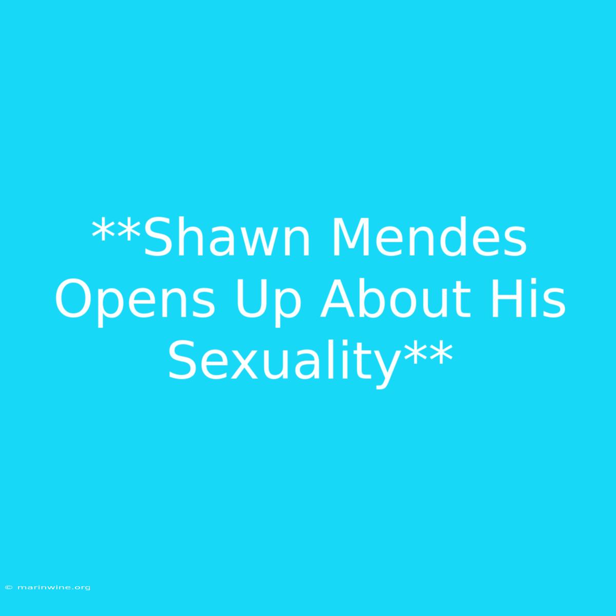 **Shawn Mendes Opens Up About His Sexuality**