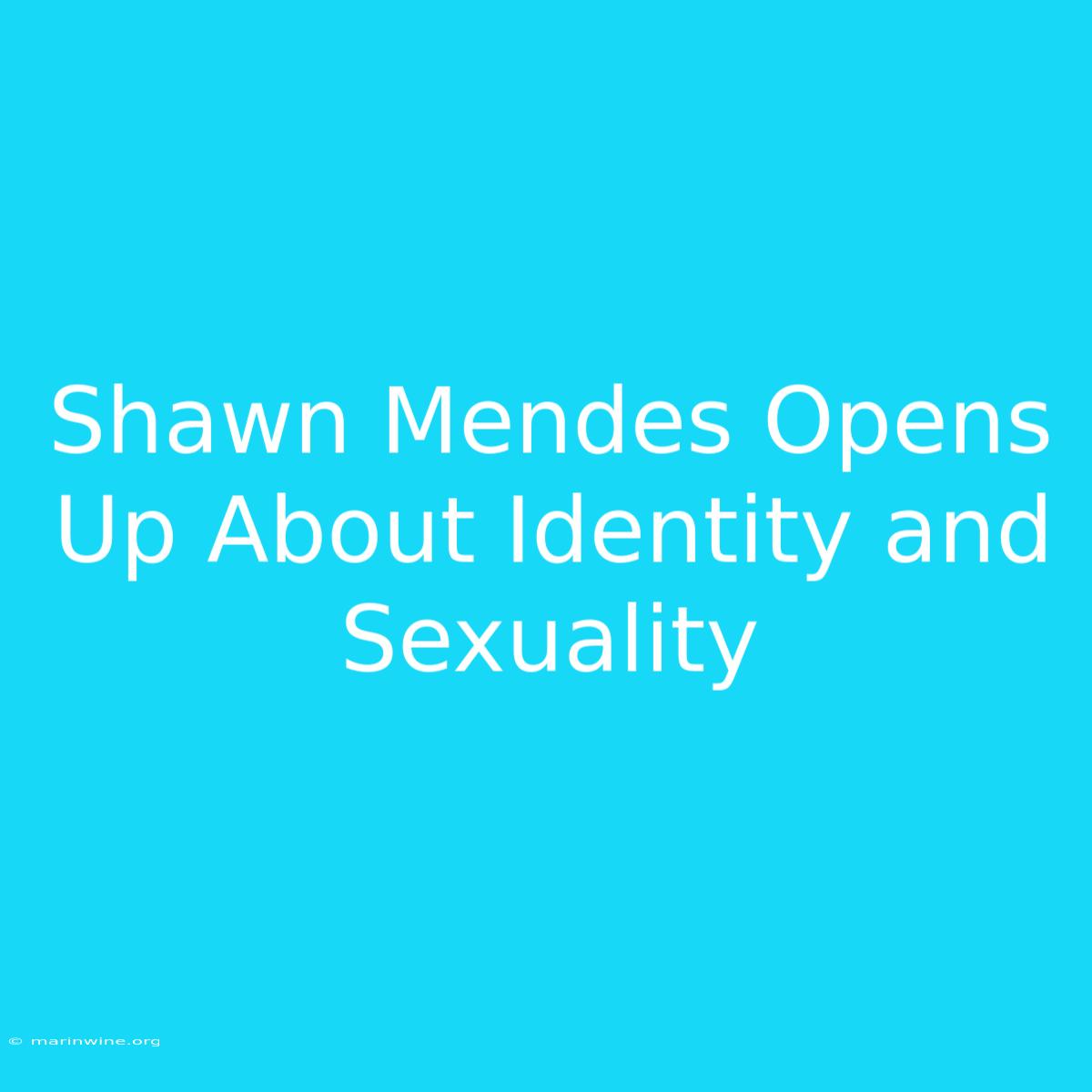 Shawn Mendes Opens Up About Identity And Sexuality