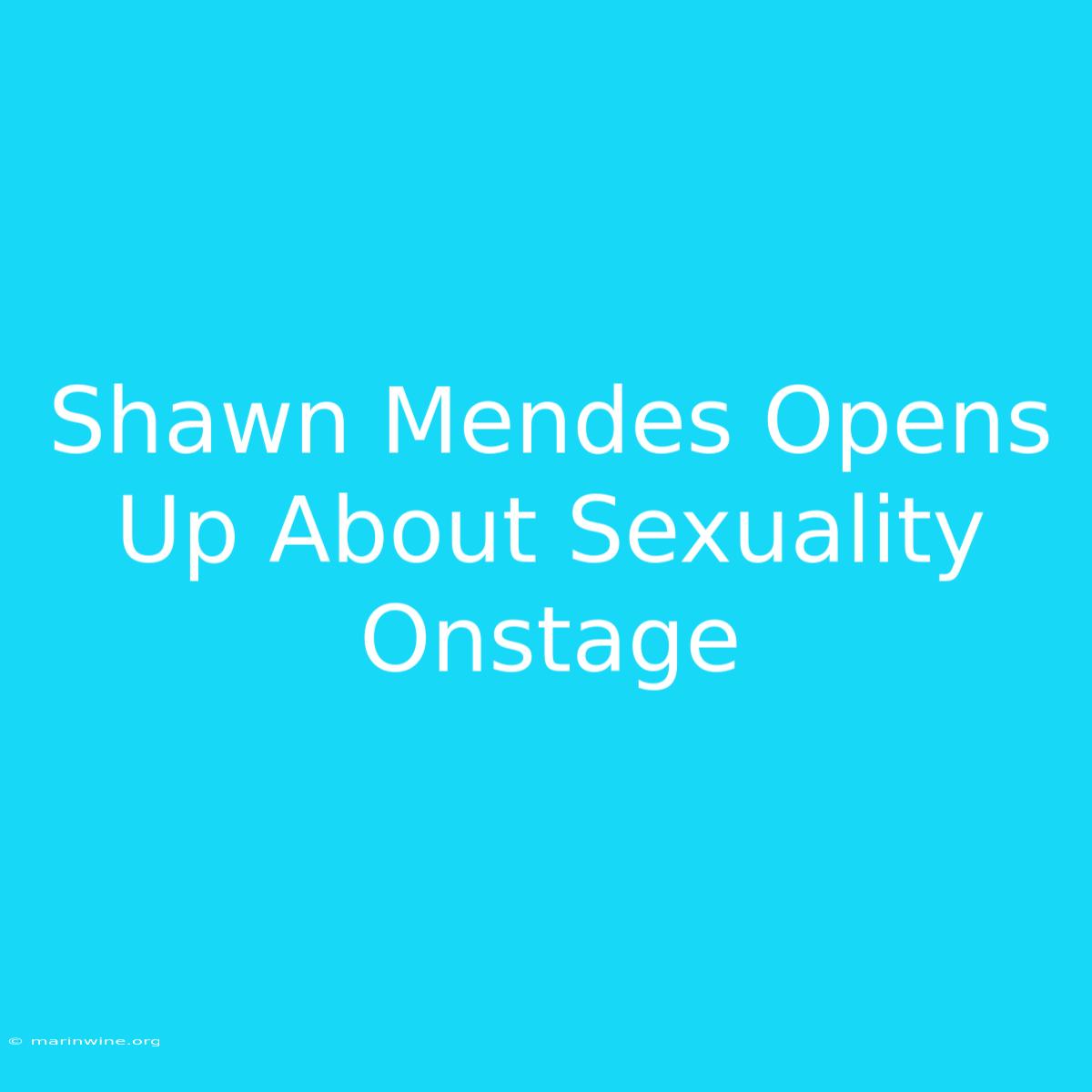 Shawn Mendes Opens Up About Sexuality Onstage