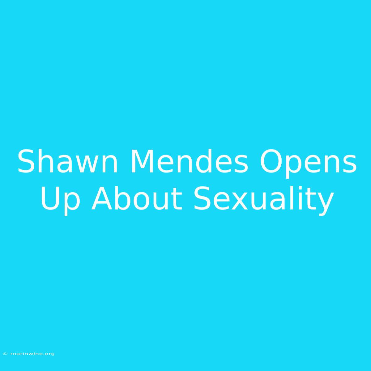 Shawn Mendes Opens Up About Sexuality