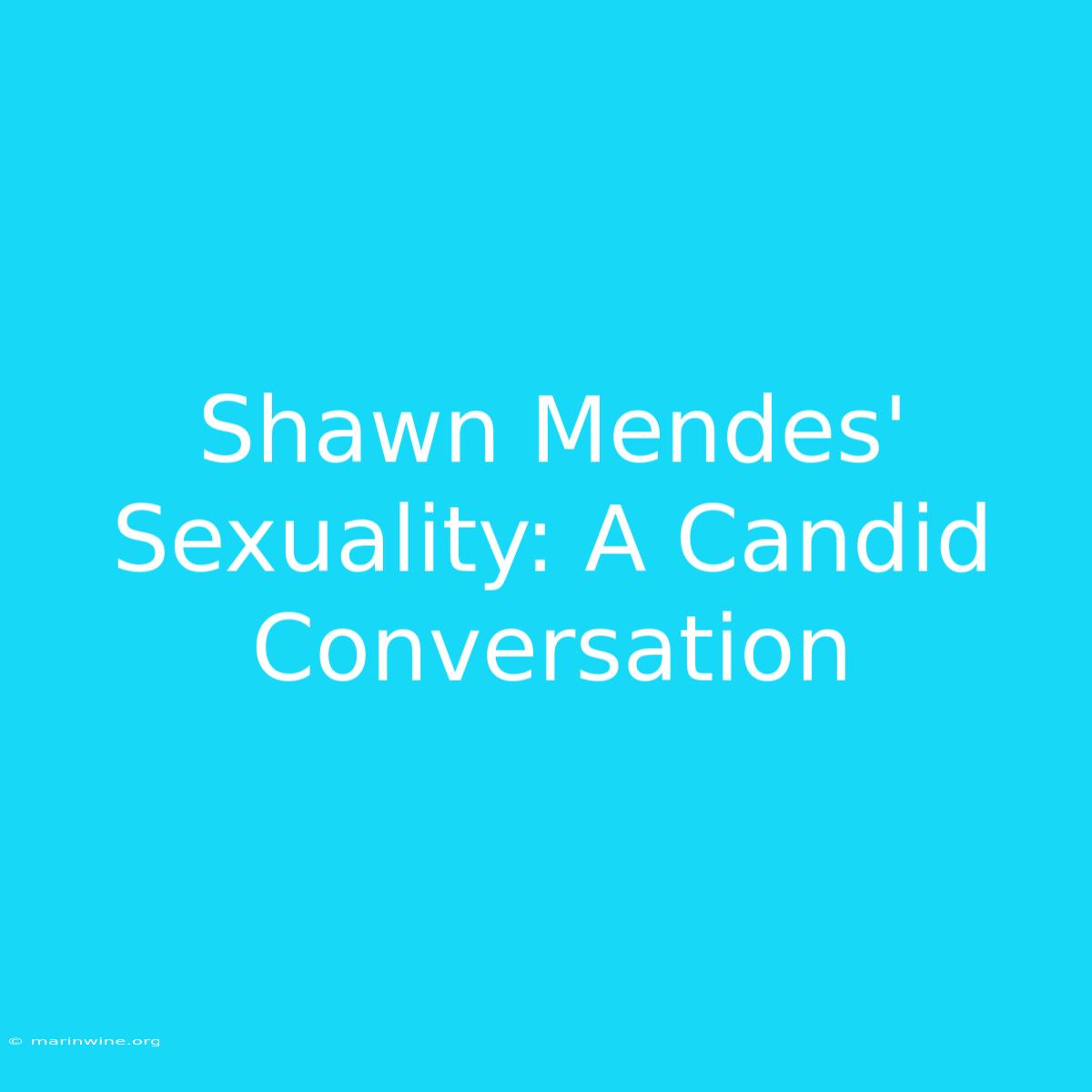 Shawn Mendes' Sexuality: A Candid Conversation 