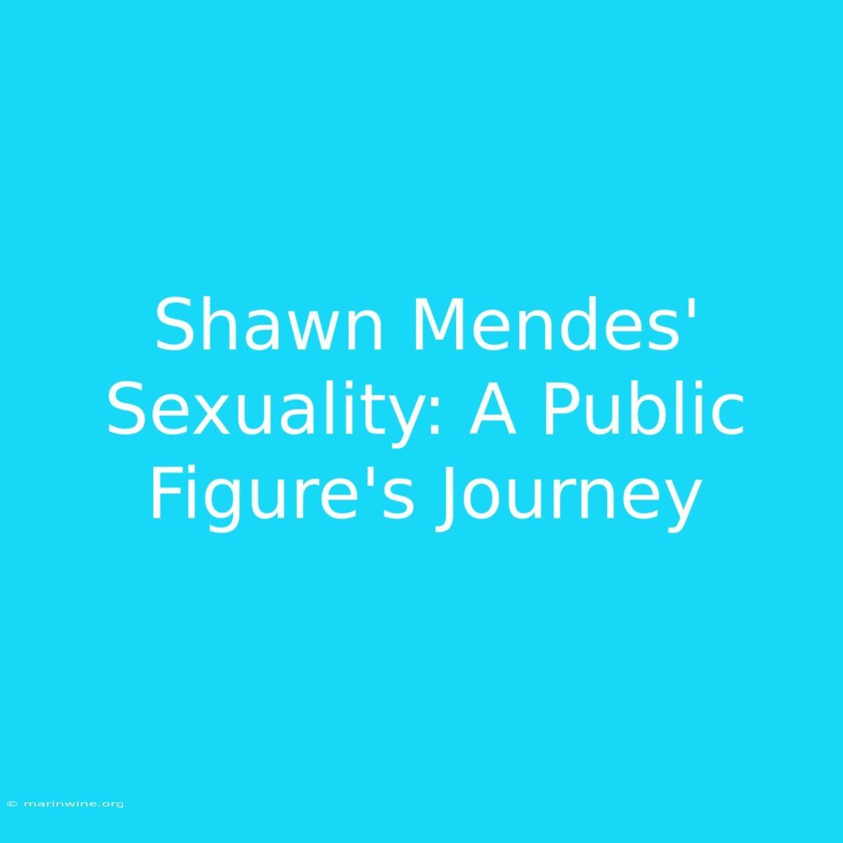 Shawn Mendes' Sexuality: A Public Figure's Journey 