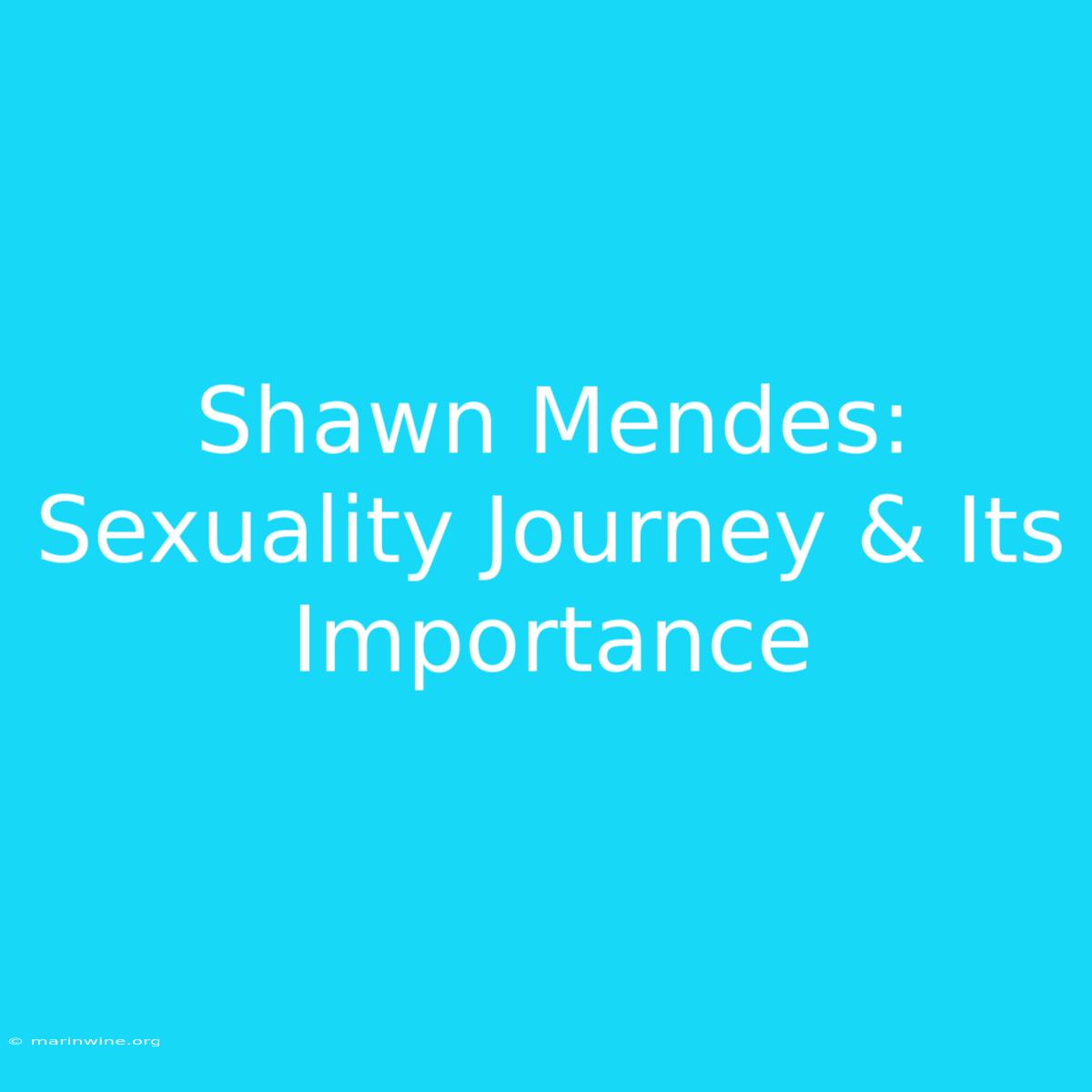 Shawn Mendes: Sexuality Journey & Its Importance