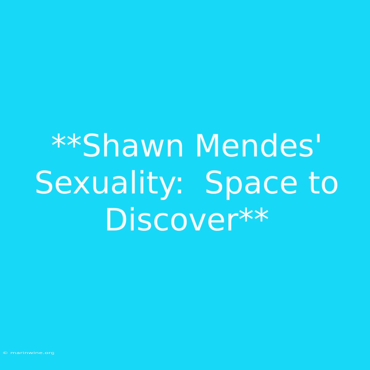 **Shawn Mendes' Sexuality:  Space To Discover**