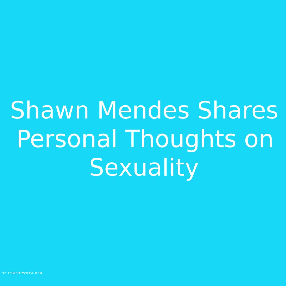 Shawn Mendes Shares Personal Thoughts On Sexuality 