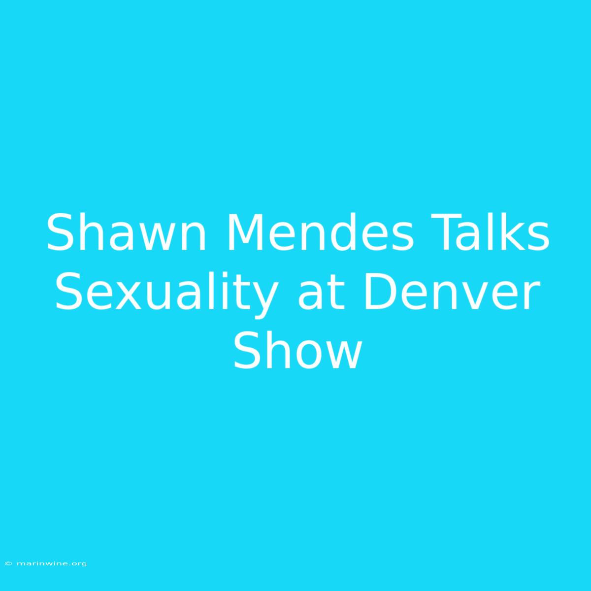 Shawn Mendes Talks Sexuality At Denver Show 