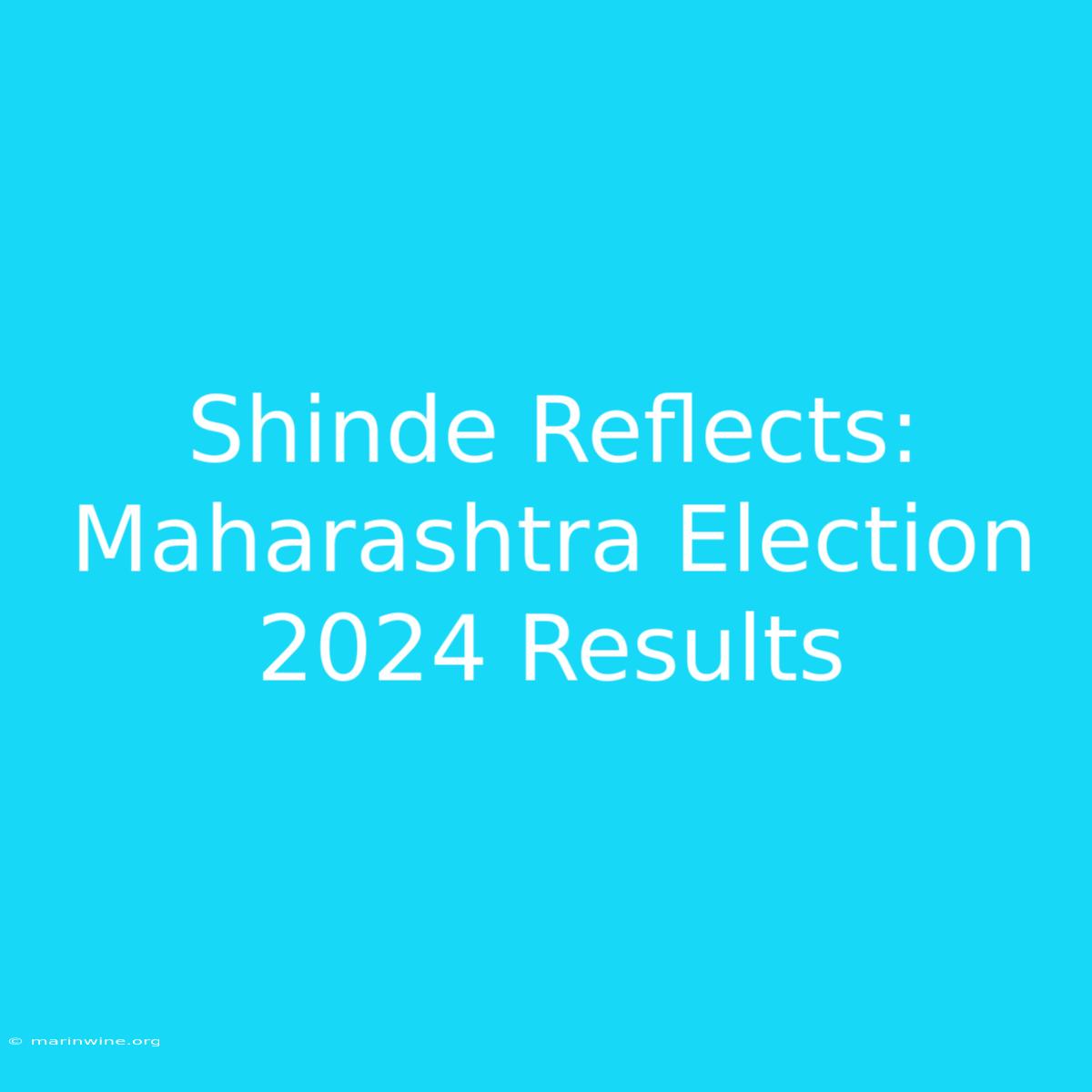 Shinde Reflects: Maharashtra Election 2024 Results