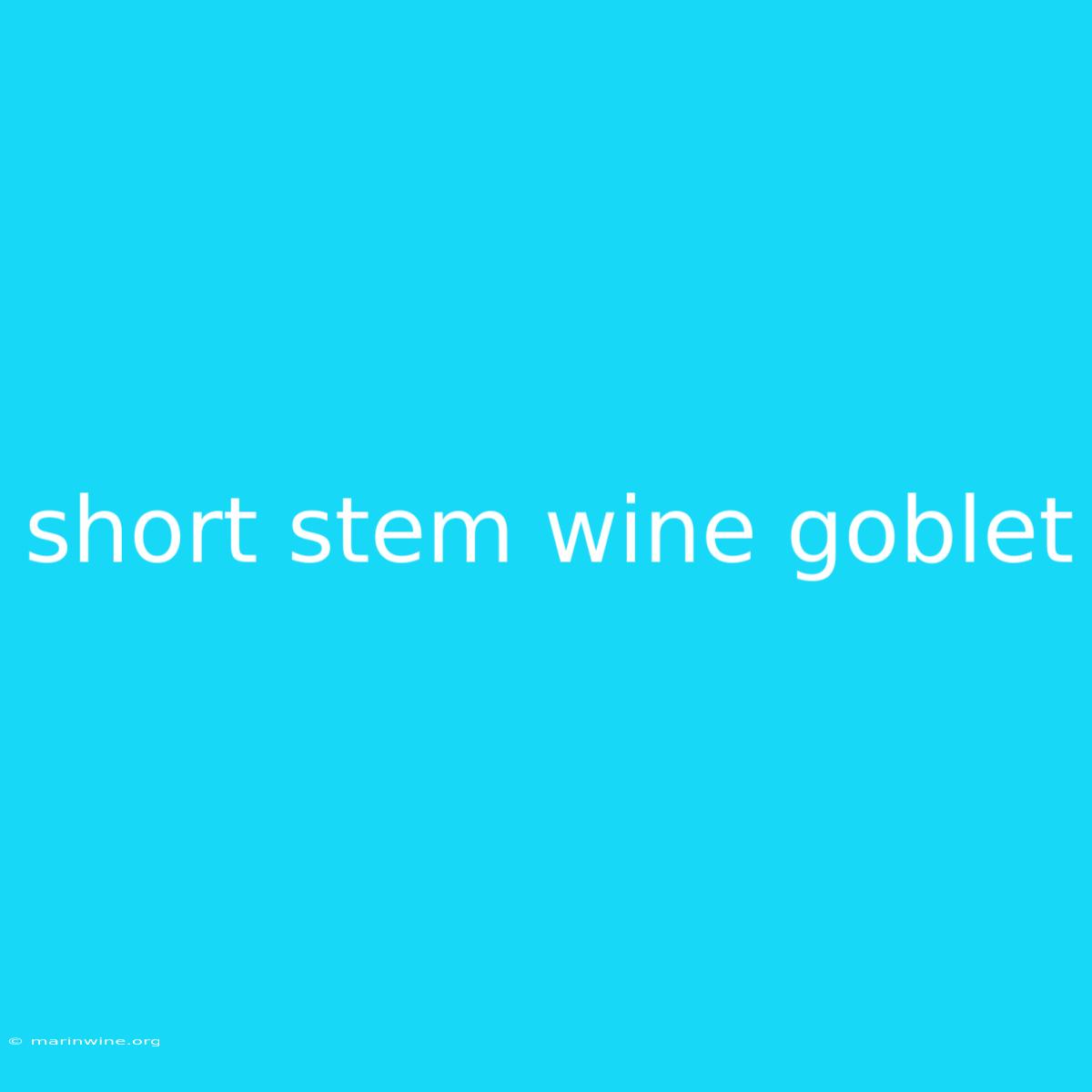 Short Stem Wine Goblet