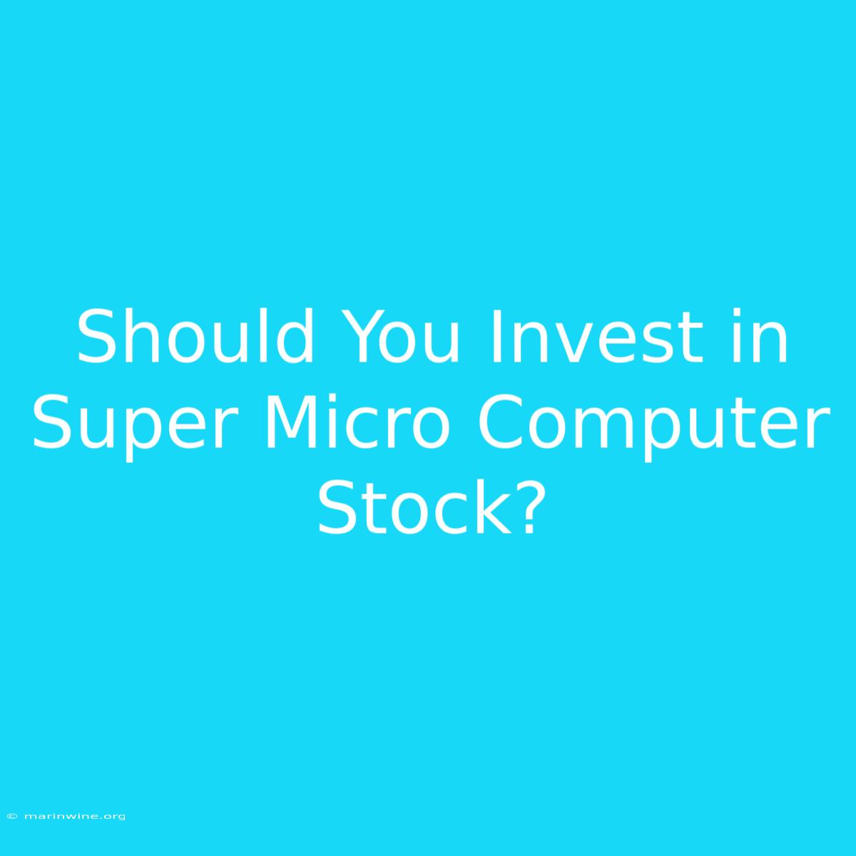 Should You Invest In Super Micro Computer Stock?