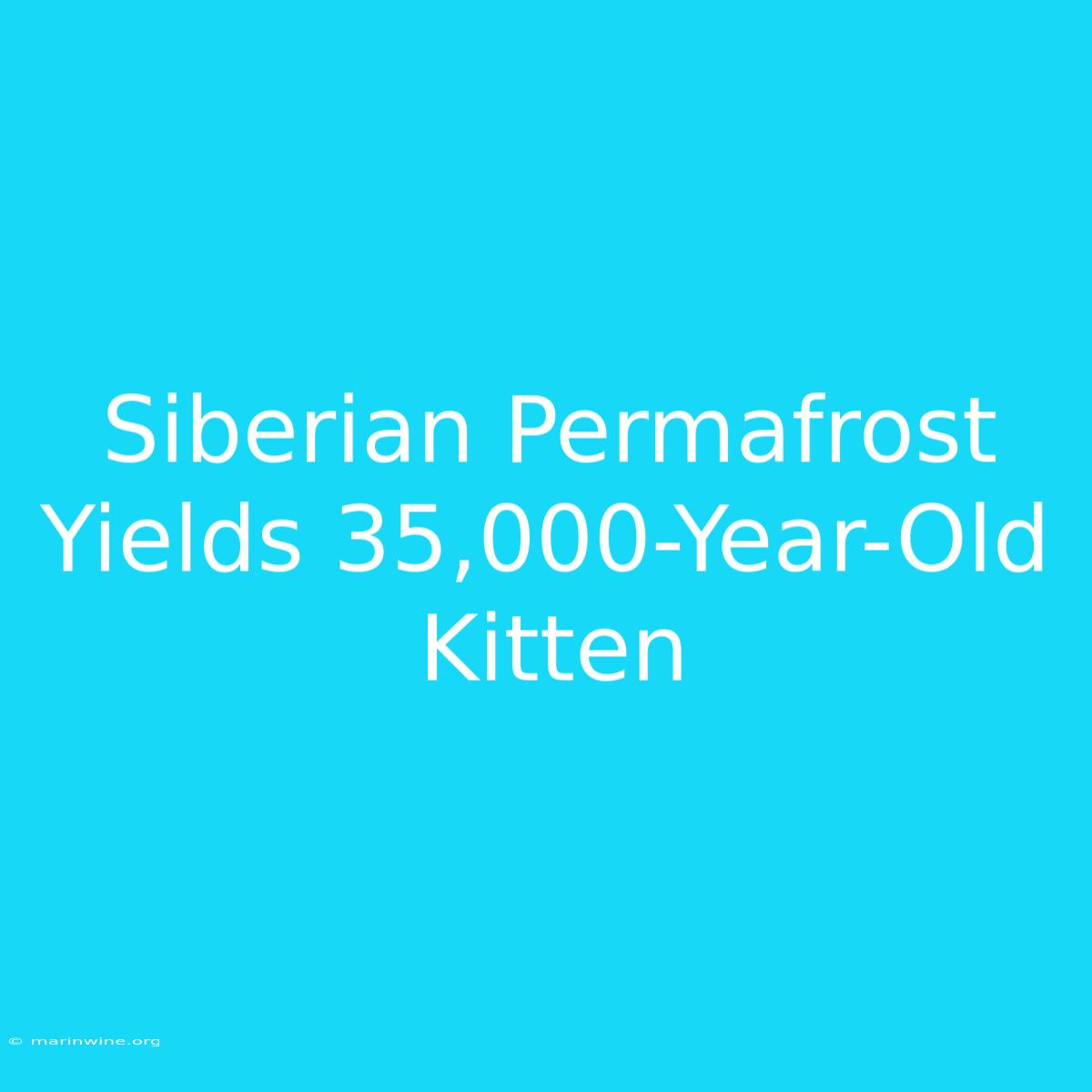 Siberian Permafrost Yields 35,000-Year-Old Kitten