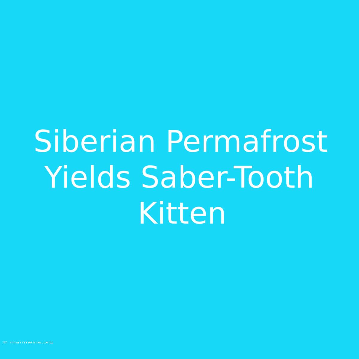 Siberian Permafrost Yields Saber-Tooth Kitten